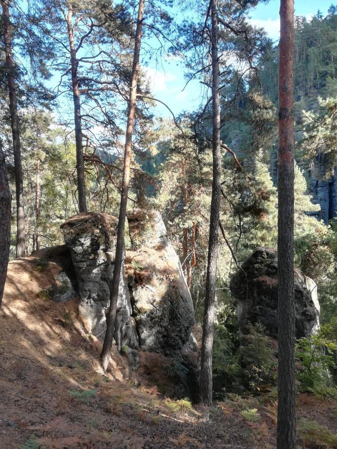 Pension Kral Jablonec nad Nisou Εξωτερικό φωτογραφία